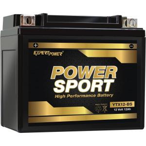 imageExpertPower 12V YTX12BS MaintenanceFree Replacement Battery for Motorcycles ATVs Scooters ampamp Snowmobiles  Reliable Batteries Solutions  Compatible w 2003 Honda TRX250 Recon ampamp More