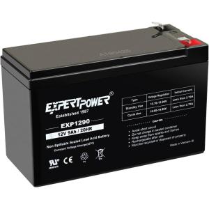 imageExpertPower EXP1290 12 Volt 9 Amp Rechargeable battery12V 9 AH